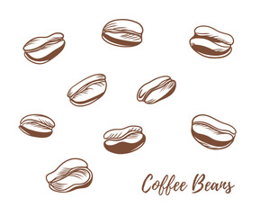 Vector coffee beans line art illustration, graphic line coffee beans combination. Great for any designs, textile, art, walls, package