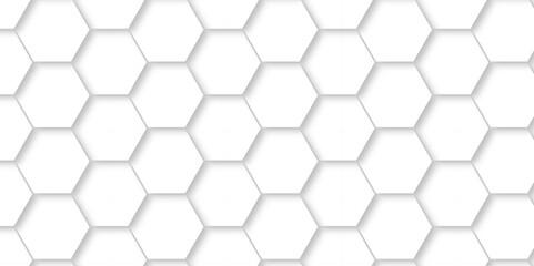 	
Abstract pattern with hexagonal white and gray technology line paper background. Hexagonal 3d vector grid tile and mosaic structure mess cell. white and gray hexagon honeycomb geometric copy space.