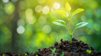 Nature green a new small sprout plant on soil at natural blur background. Generated AI image