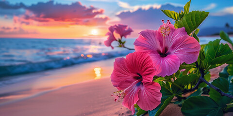 Colorful hibiscus flowers of Maui, Hawaii blooms and shining Amidst Sandy beach and Blue Ocean on a Vacation Escape at Night time
