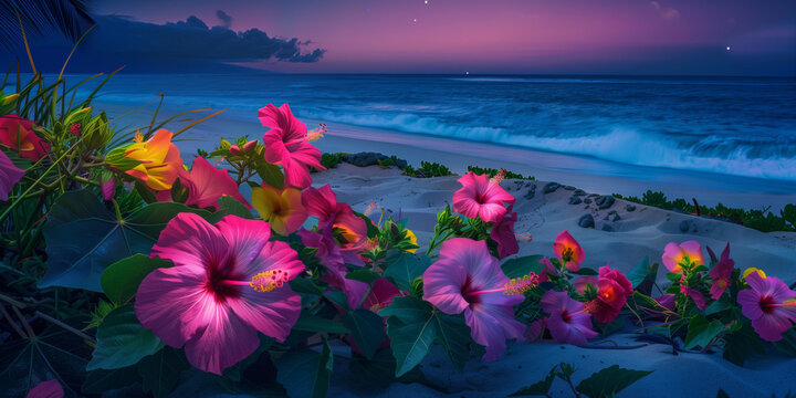 Colorful hibiscus flowers of Maui, Hawaii blooms and shining Amidst Sandy beach and Blue Ocean on a Vacation Escape at Night time