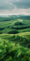 Green rolling hills of Tuscany, Italy