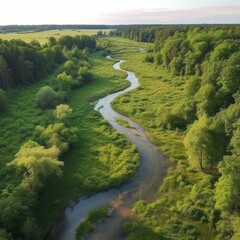 A River Meandering Through a Lush Green Forest