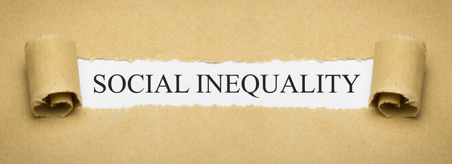 social inequality