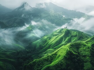 Obraz premium Green hills and mountains landscape with fog