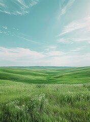 Obraz premium Green rolling hills under blue sky with white clouds