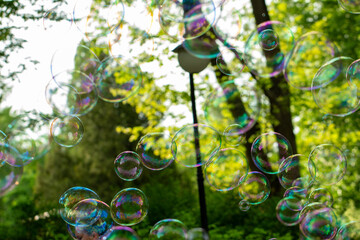 soap bubbles close-up on a background of sun and greenery, abstract background, positive mood,...