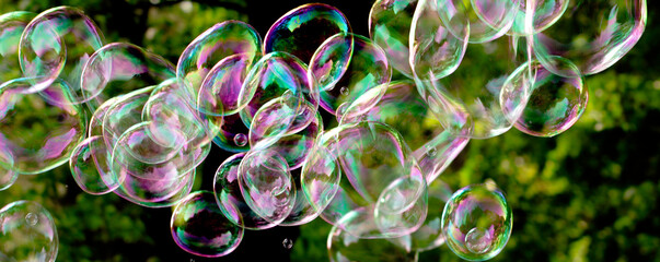soap bubbles close-up on a background of sun and greenery, abstract background, positive mood,...