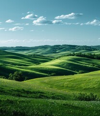 Fototapeta premium idyllic green rolling hills landscape