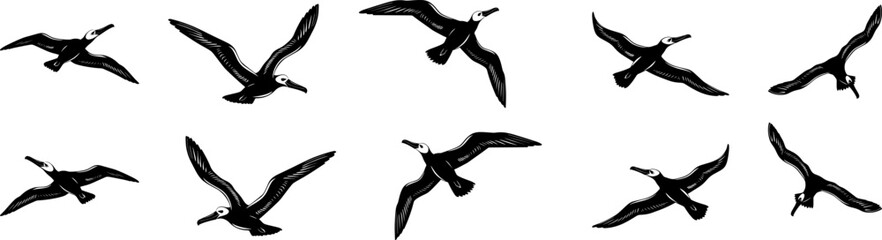 Albatross birds silhouette vector set, Vector illustration