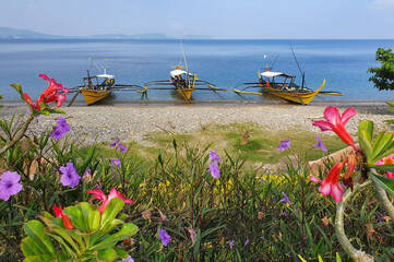Idyllic landscape of a beach in the Philippines with three boats on the shore, a calm blue sea and...