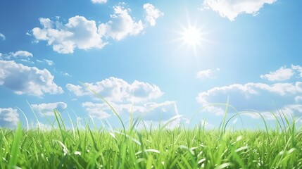 Fototapeta premium Peaceful Green Grass Field Under Blue Sky