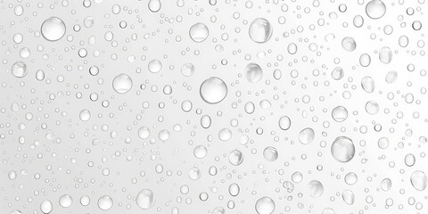 Water droplets on a white background. water drop texture on white	background

