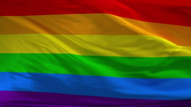 Rainbow LGBT pride flag. Lesbian lgbtq flag video waving in wind. Seamlessly looping 3D animation. Realistic Gay Flag background.