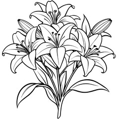 Lily Flower outline illustration coloring book page design, Lily Flower black and white line art drawing coloring book pages for children and adults