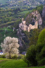 Lednica Castle standing on a limestone rock, surrounded by blooming and greening vegetation.