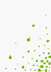 grad_1785x2526-08__list_vesna_2_01.eps