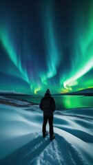 Northern Lights (Aurora Borealis) casting an ethereal glow over a snowy landscape, with a lone figure observing this natural wonder. Vertical shot