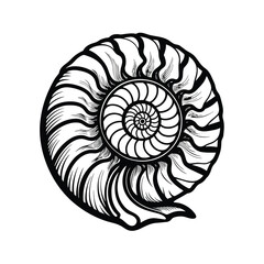 Ammonite black outline in sketch style on white background, vector illustration