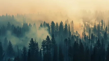 A smoky haze settling over a forest during a wildfire, obscuring visibility and posing respiratory risks to both humans and wildlife