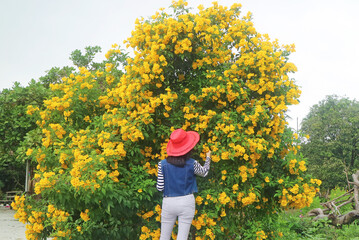 Woman in Red Hat Admiring Trumpetbush Flowers with Care