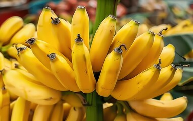 Fresh Yellow Bananas on Display