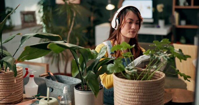 Girl, gardening and headphones in home with plant for growth, healing properties and connection to nature for wellness. Woman, music and calm in house for flora care in living room for natural decor.