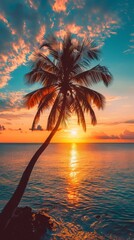 Palm Tree on Beach at Sunset