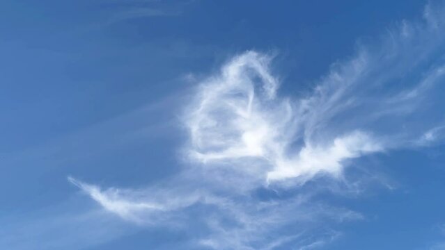 Wispy clouds forming an intricate pattern against a vivid blue sky