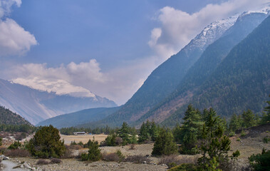 Landscape on the way from village Chame to village Upper Pisang in the Annapurna Circuit trek. Green coniferous trees and mountain chains. The most popular hiking trek. The Annapurna Conservation Area