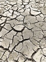 drought and global warming. cracked wall of a dry lake.