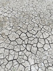 drought and global warming. cracked wall of a dry lake.