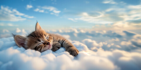 Fototapeta premium A cute kitten is sleeping on the clouds, wrapped in a fluffy cotton cloud. The concept of tenderness, innocence and softness of pets. Cute domestic kitten