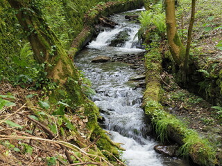 Wasserfall im Tiefenbachtal bei Bernkastel-Kues