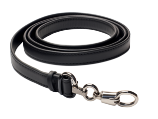 Dog leash isolated on transparent background