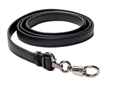 Dog leash isolated on transparent background