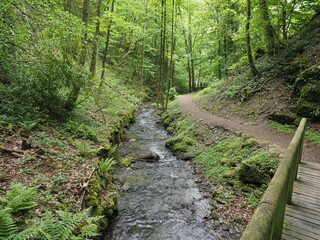 Wasserfall im Tiefenbachtal bei Bernkastel-Kues