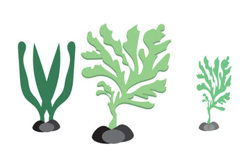 Abstract trendy seaweed, shape aesthetic silhouette. Set of blue elements isolated on black background. Vector Illustration.