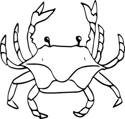 Crab Sketch