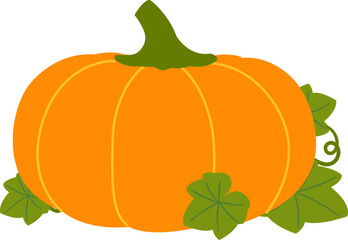 Pumpkin with leaves vector image
Farm fresh pumpkin.
fall pumpkin.