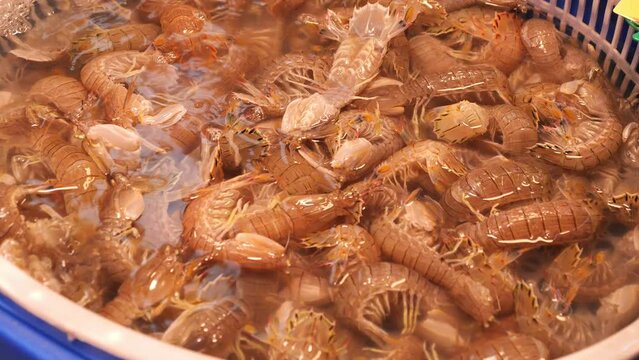 Mantis shrimp for sale at a bustling seafood market in Qingdao, China