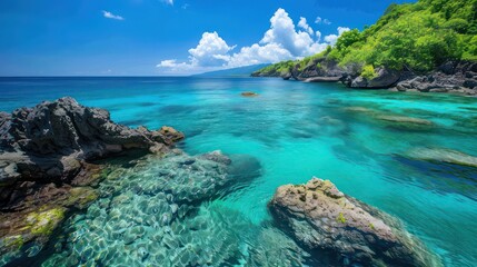 clear blue sea, surrounded by lush greenery and vibrant coral reefs