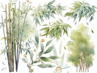 bamboo leaf plants watercolor, white background