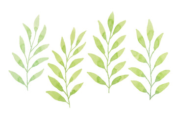 Assortment of watercolor leaves illustration set - green leaf branches collection for wedding, greetings, stationary, wallpapers, fashion, background. olive, green leaves, Eucalyptus etc