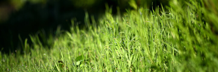 fußball bundesliga spielfeld muster-hintergrund banner