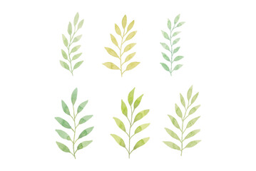Assortment of watercolor leaves illustration set - green leaf branches collection for wedding, greetings, stationary, wallpapers, fashion, background. olive, green leaves, Eucalyptus etc