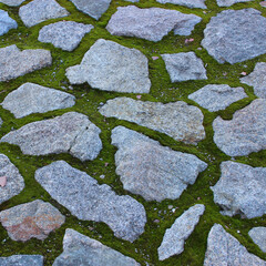 Granite stones pressed in moss in an ancient basement texture background. Square stone background...