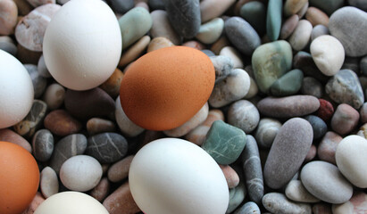 Variety Colors Raw Eggs In Form Of Ring Laid Out On Decorative Stones At Side Of Image
