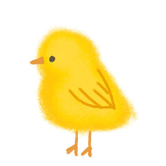 yellow easter chicken