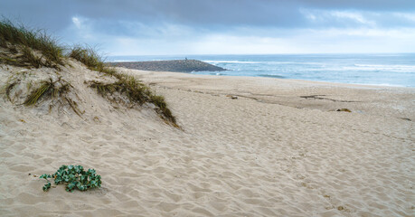 A view of the sandy dune with grass and the blue waters of the ocean, the rocky jetty is visible;...